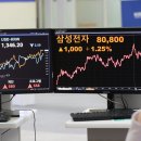 왔다 개미 이미지