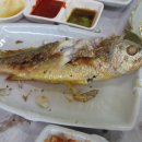 둥지식당 Daum카페