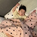 (주)온전히 이미지