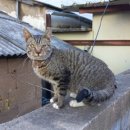 도신경로당 이미지