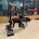 새싹피티 이미지