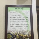 읍내곰탕 이미지