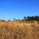 동암마을 이미지