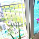 평안꽃식물원 이미지