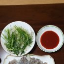은정갈치