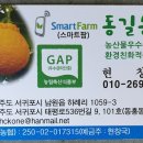 현창농장 네이버블로그