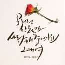 플라워캘리