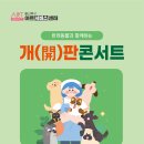 유모차 콘서트 이미지