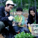 행복농장 5 이미지