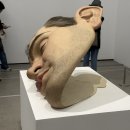 ART BODY | 론 뮤익,극사실주의 조각 미술(Ron Mueck of Hyperrealism) 후기/리플렛/오디오가이드, 국립현대미술관