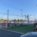 펫넘버원 이미지