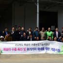 복숭아 수출농업기술지원단, 현장 컨설팅에 구슬땀 이미지