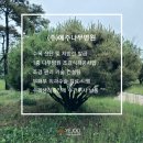 (주)도시숲조경나무병원