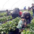 대신주말농장 정보화마을 이미지