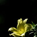 부천중앙공원 이미지