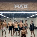 부산대 팀매드 이미지