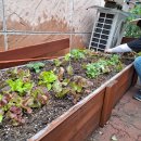 반여행복(여)경로당 이미지