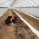 고창군농업기술센터 이미지