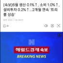 [속보] 6월 생산 0.1%↑, 소비 1.0%↑, 설비투자 0.2%↑… 2개월 연속 ‘트리플 상승’ 이미지