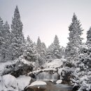 교도소 앞 이미지