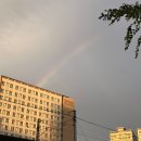 대흥동물병원 | 9월 1주 차 :: 여름을 보내는 우리