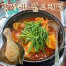 강가네닭도리탕 | [대전 서구 괴정동] 닭볶음탕 맛집 : 강가네닭도리탕