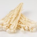 온앤온짐 이미지