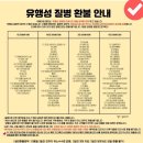 울산마대 천막상사 | 어메이징캠프 부산점 후기 자리추천