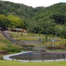 배실(상)공원 웨딩 이미지