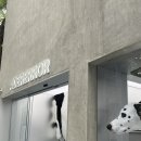 꽃집 릴리안 | [상해여행] ep 5. 허동구거(何东旧居)핫플 후기와 에그타르트 찐맛집 ... 또 먹고싶다