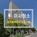 마리의냉장고 | 공덕블루마리 오피스텔 마포구 원룸 이사청소 현장 후기