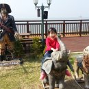 씨엘로 펜션 1 이미지