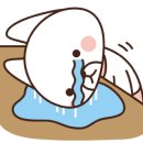 마켓그루터 이미지