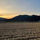 대구반려동물사업협동조합 이미지