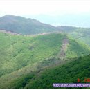 2012년 5월6일(일)요일 전라남도 보성군 일림산-제암산-사자산 철쭉축제 이미지