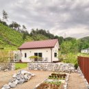 스테이느릿 이미지