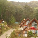 주천강강변자연휴양림 이미지