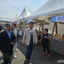 대진항(문어축제장) 이미지