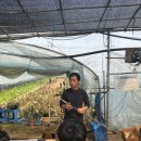 주용농장 이미지