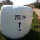 홍원농장 네이버블로그