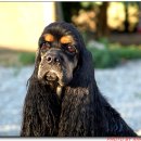 노블라인 이미지