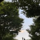 [가평여행] 67빌리지 스파가 가능한 글램핑 펜션 다녀온 후기