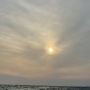 대웅목장 이미지