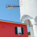 카페힐민박 이미지