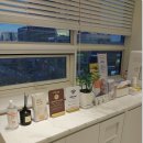 맑은플란트치과의원 이미지