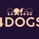 언니네 애견샵 이미지