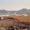 국도25호선 이미지