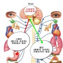 대치궁한의원 이미지