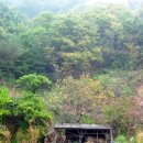 다수방아간 이미지