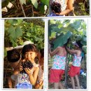 외할머니집 이미지